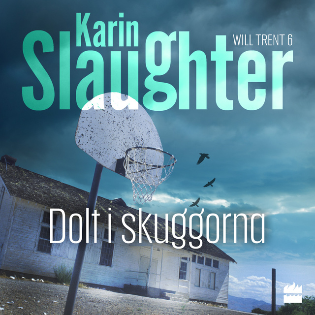 Karin Slaughter - Dolt i skuggorna
