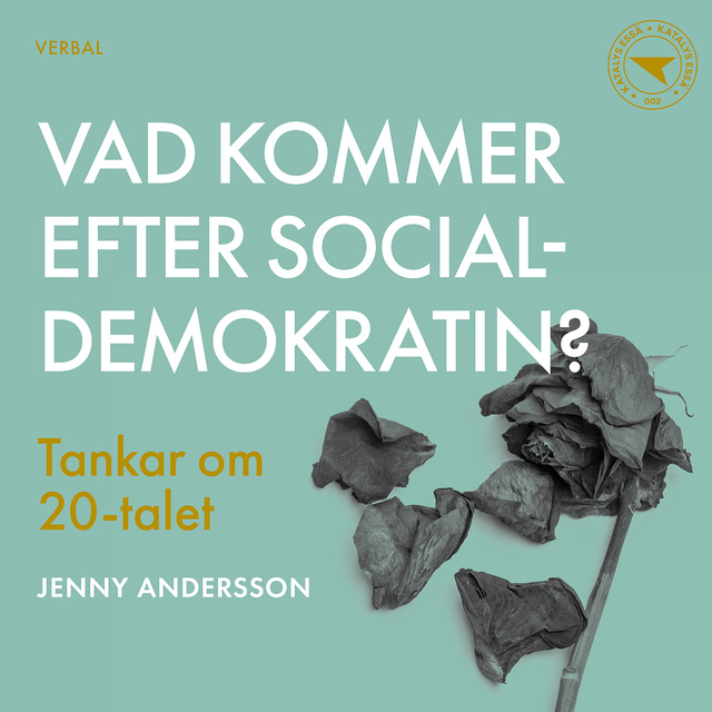 Jenny Andersson - Vad kommer efter socialdemokratin? : Tankar om 20-talet