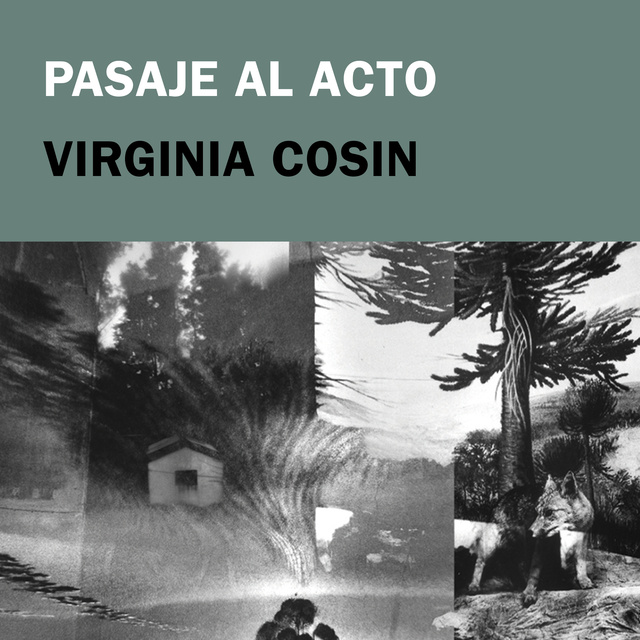 Virginia Cosin - Pasaje al acto