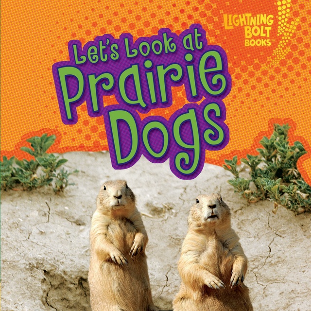 Christine Zuchora-Walske - Let's Look at Prairie Dogs