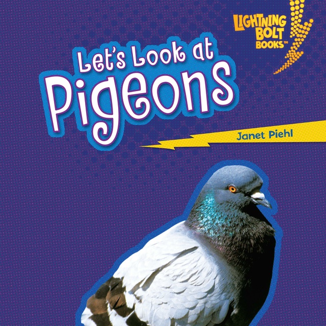 Janet Piehl - Let's Look at Pigeons