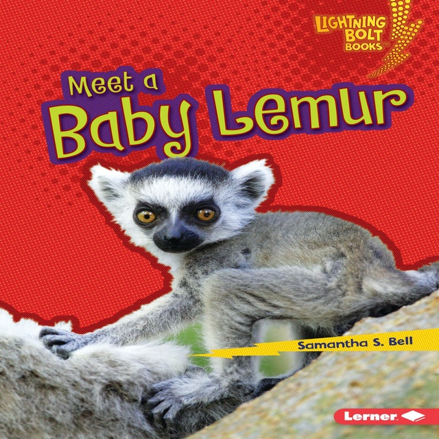 Samantha S. Bell - Meet a Baby Lemur