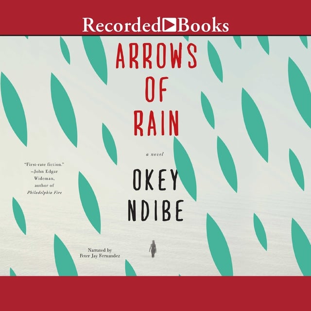 Okey Ndibe - Arrows of Rain