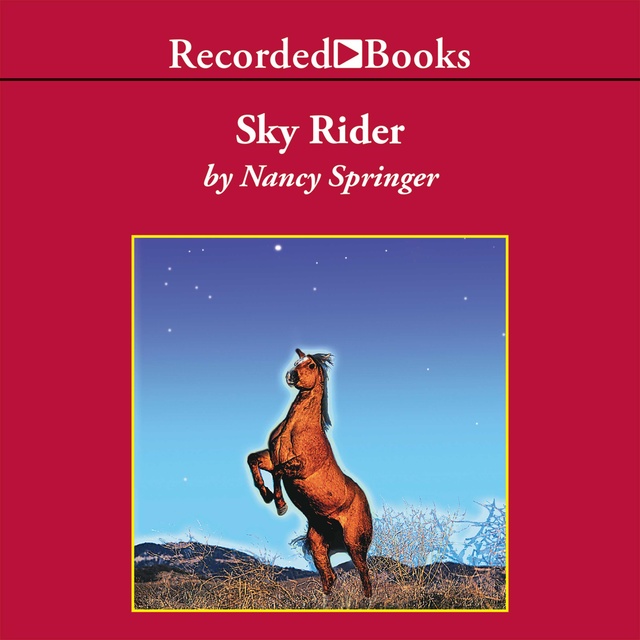 Nancy Springer - Sky Rider