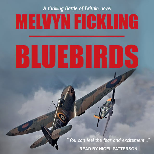 Melvyn Fickling - Bluebirds