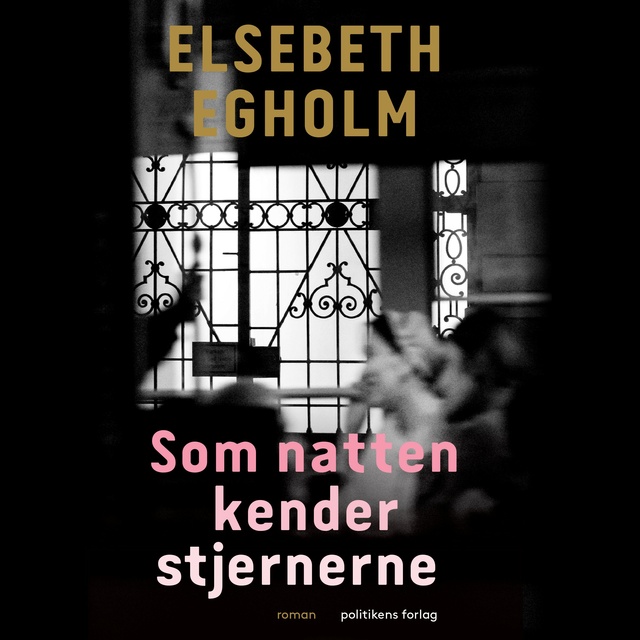 Elsebeth Egholm - Som natten kender stjernerne