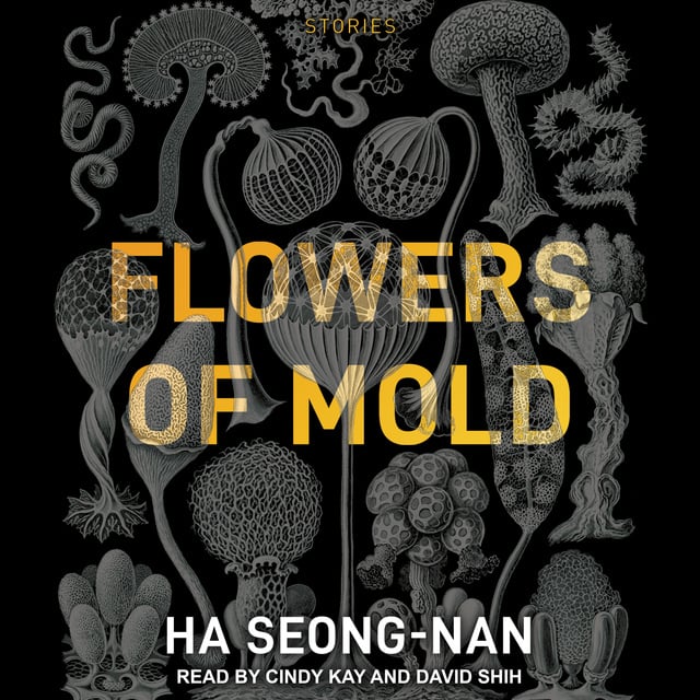 Ha Seong-nan - Flowers of Mold