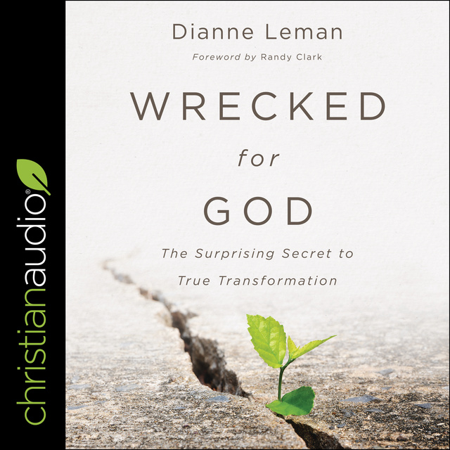 Dianne Leman - Wrecked for God: The Surprising Secret to True Transformation