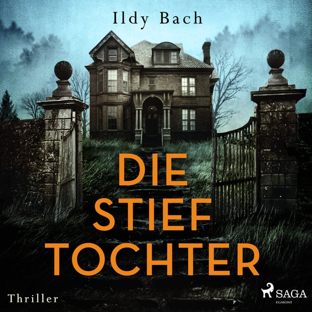 Ildy Bach - Die Stieftochter