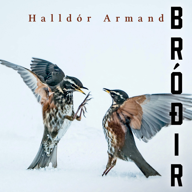 Halldór Armand - Bróðir