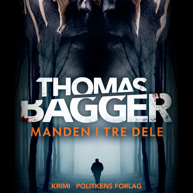 Thomas Bagger - Manden i tre dele