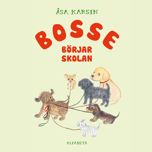 Åsa Karsin - Bosse börjar skolan