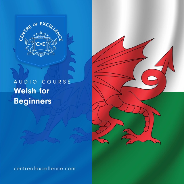 Centre of Excellence - Welsh for Beginners