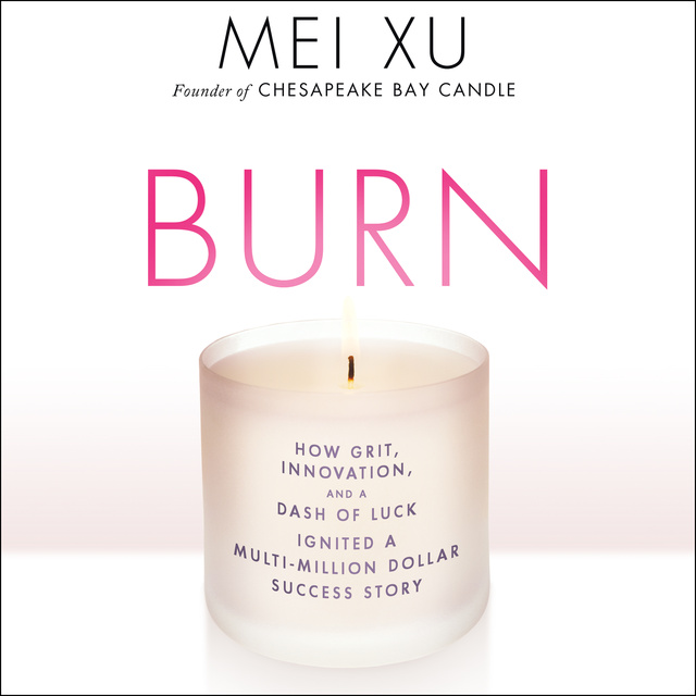 Mei Xu - Burn: How Grit, Innovation, and a Dash of Luck Ignited a Multi-Million Dollar Success Story