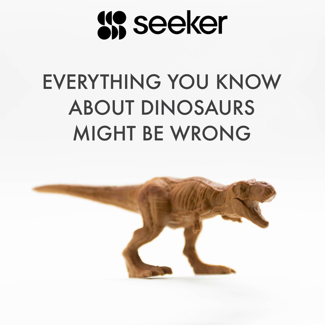 Everything You Need to Know About Dinosaur 