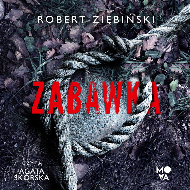 Robert Ziębiński - Zabawka