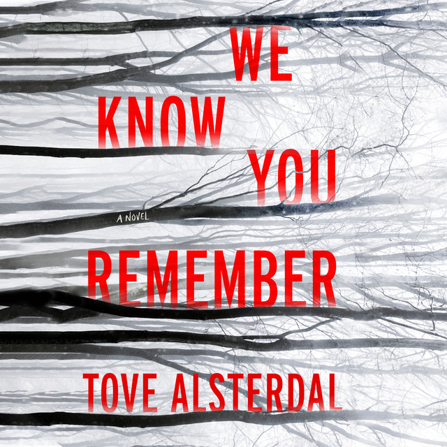 Tove Alsterdal - We Know You Remember: A Novel