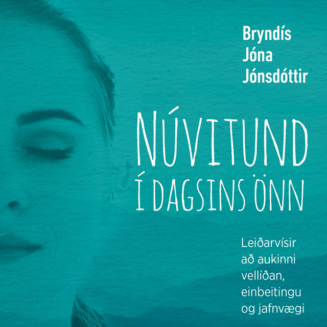 Bryndís Jóna Jónsdóttir - Núvitund í dagsins önn