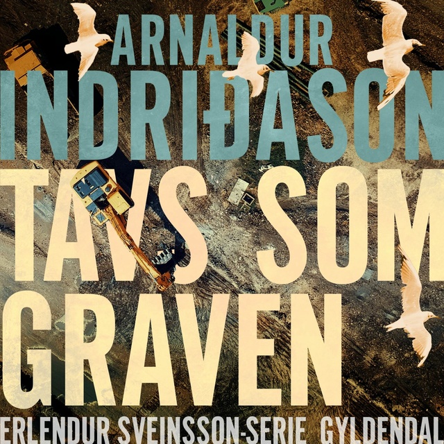 Arnaldur Indriðason - Tavs som graven
