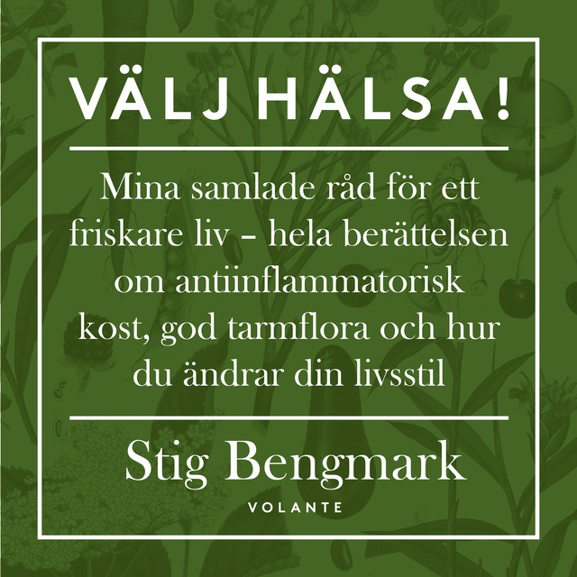 Stig Bengmark - Välj hälsa