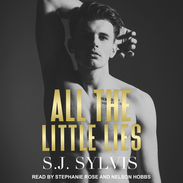 S.J. Sylvis - All the Little Lies