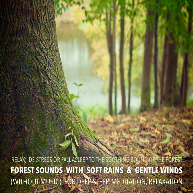 Yella A. Deeken - Forest Sounds with Soft Rains & Gentle Winds for Deep Sleep, Meditation, Relaxation