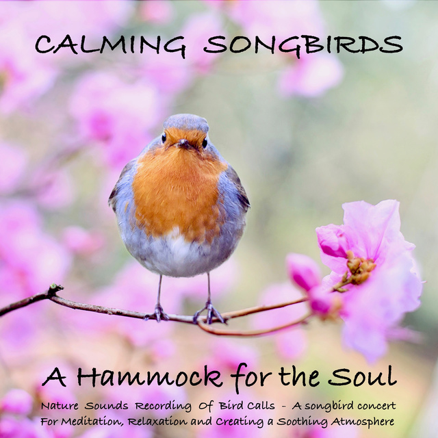 Yella A. Deeken - Calming Songbirds: A Hammock for the Soul