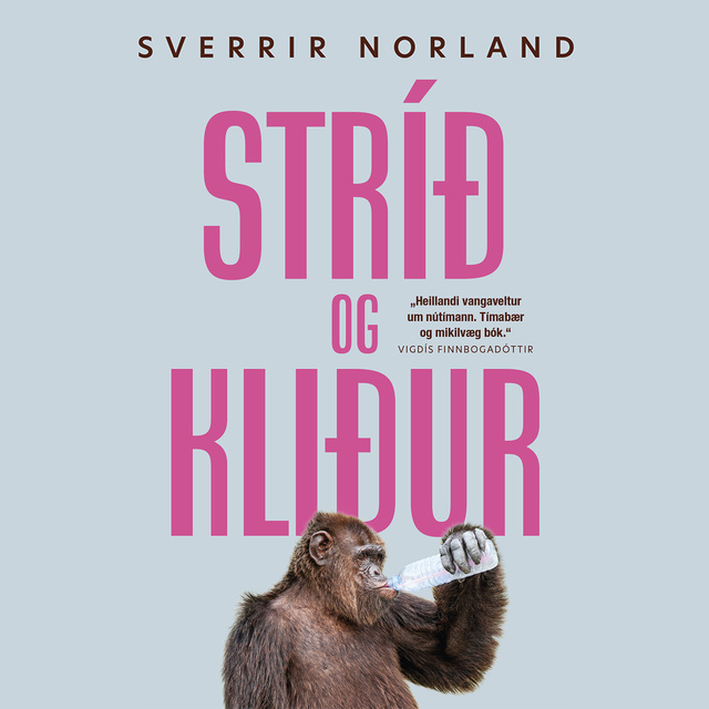 Sverrir Norland - Stríð og kliður