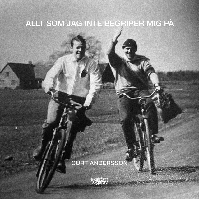 Curt Andersson - Allt som jag inte begriper mig på