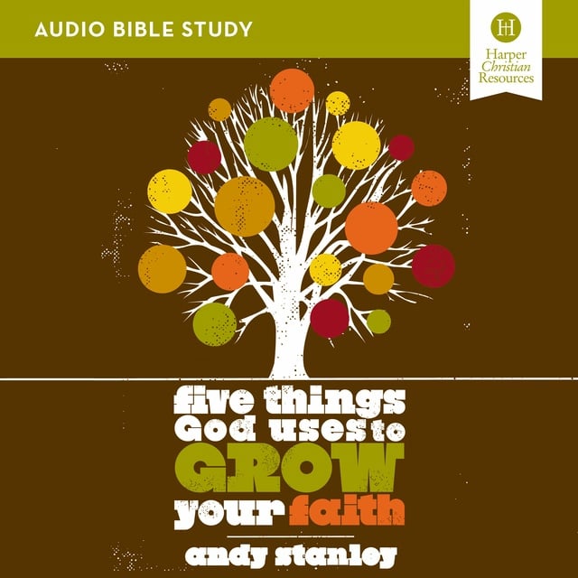 Andy Stanley - Five Things God Uses to Grow Your Faith: Audio Bible Studies