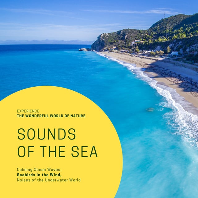 Yella A. Deeken - Sounds Of The Sea: Experience the wonderful world of nature