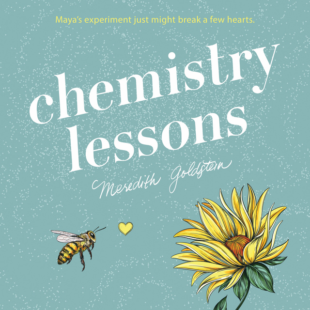 Meredith Goldstein - Chemistry Lessons