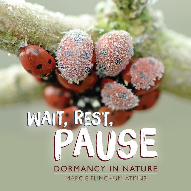 Marcie Flinchum Atkins - Wait, Rest, Pause: Dormancy in Nature