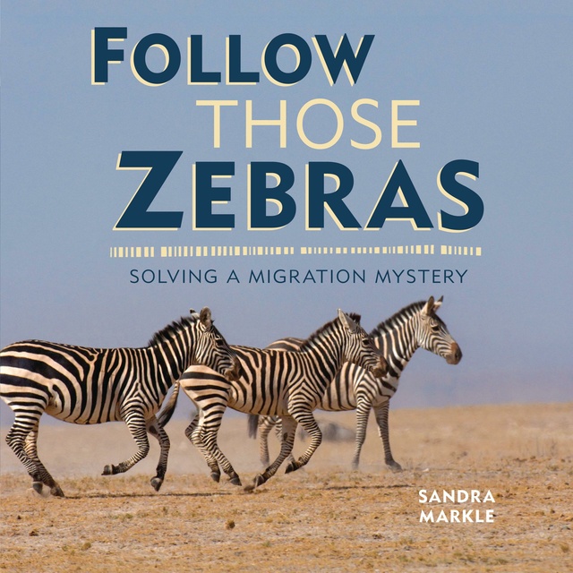 Sandra Markle - Follow Those Zebras: Solving a Migration Mystery