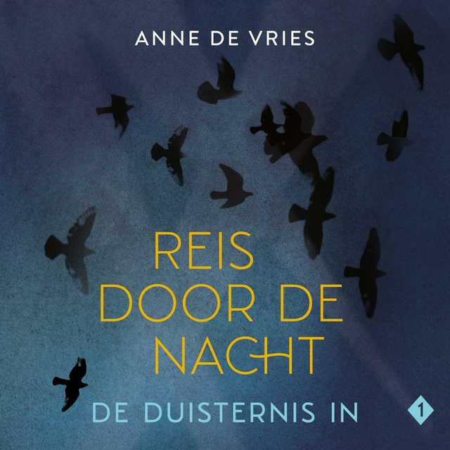 Anne de Vries - De duisternis in