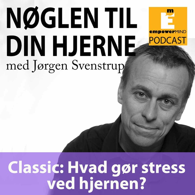 Jørgen Svenstrup - Classic: Hvad gør stress ved hjernen?