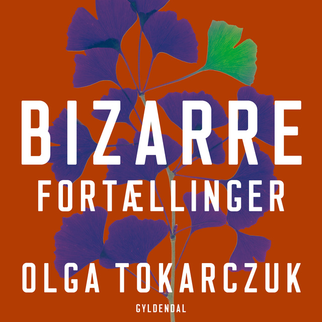 Olga Tokarczuk - Bizarre fortællinger
