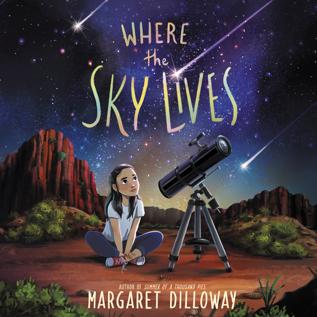 Margaret Dilloway - Where the Sky Lives