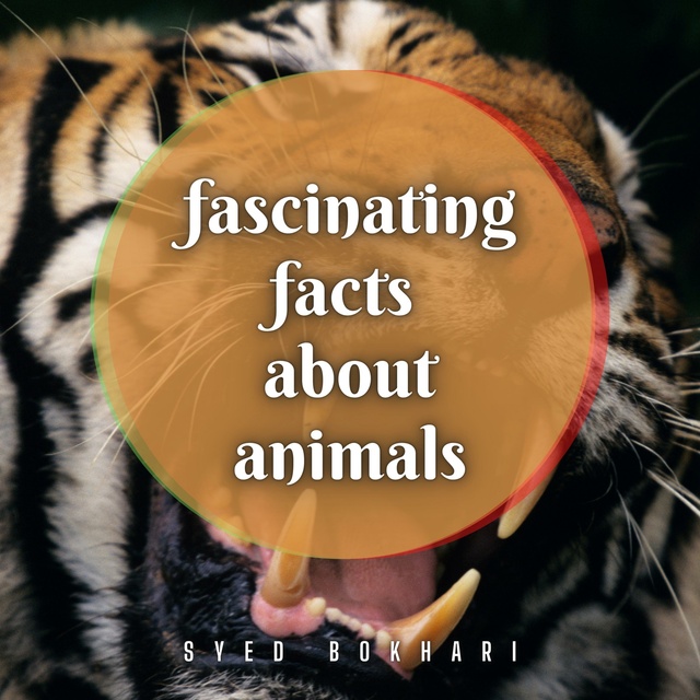Fascinating Facts About Animals - Lydbog - Syed Bokhari - Storytel