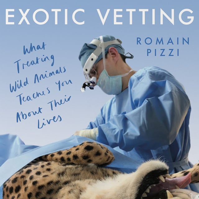 Romain Pizzi - Exotic Vetting: What Treating Wild Animals Teaches You About Their Lives