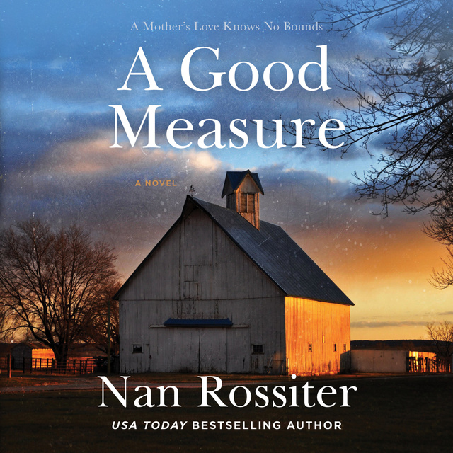 Nan Rossiter - A Good Measure: A Novel