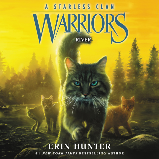 Warriors: The Broken Code #1: Lost Stars, Erin Hunter