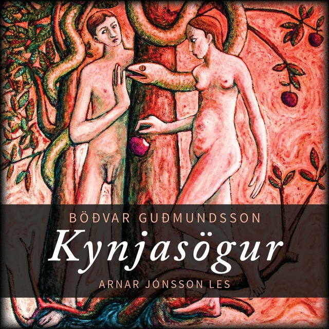 Böðvar Guðmundsson - Kynjasögur