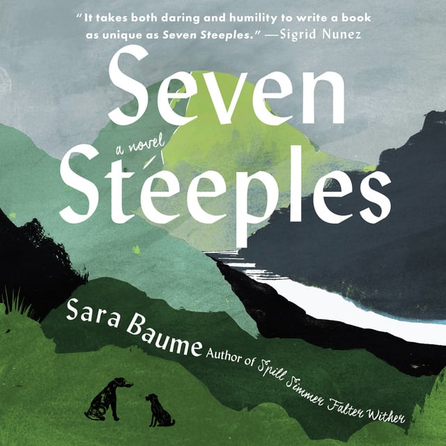 Sara Baume - Seven Steeples
