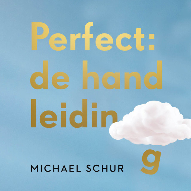 Michael Schur - Perfect: de handleiding