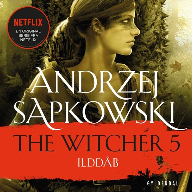 Andrzej Sapkowski - THE WITCHER 5: Ilddåb