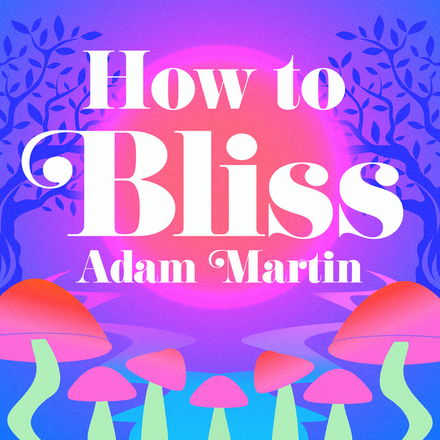 Adam Martin - How to Bliss