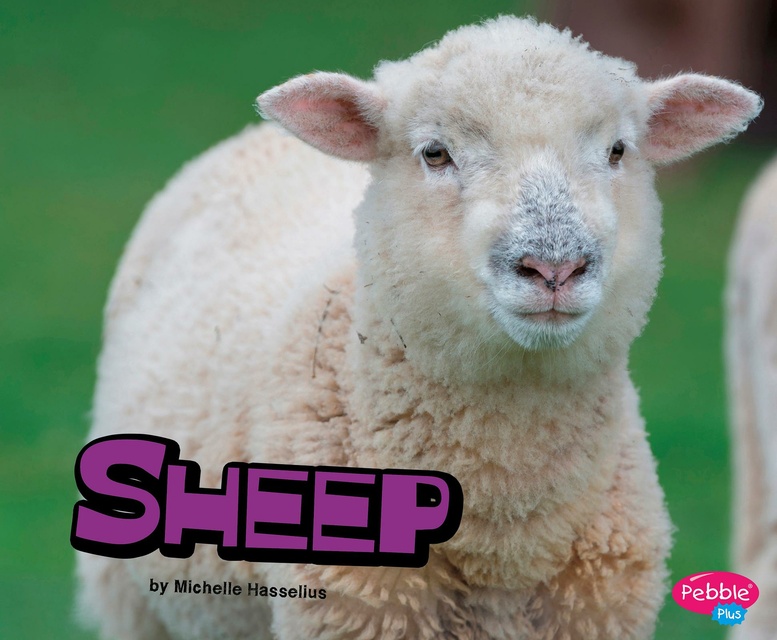 Michelle Hasselius - Sheep