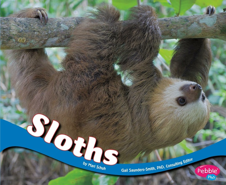 Sloths - Audiobook - Mari Schuh - Storytel