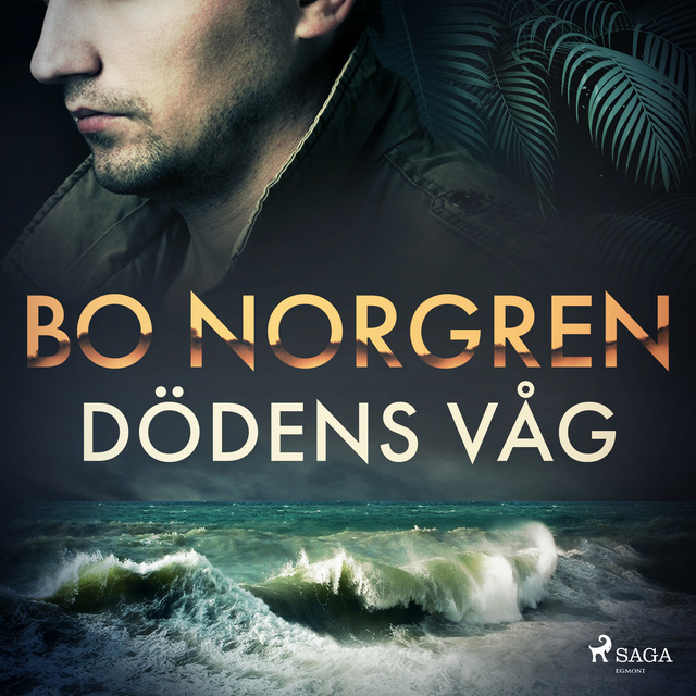 Bo Norgren - Dödens våg